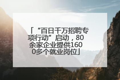 “百日千万招聘专项行动”启动，80余家企业提供1600多个就业岗位